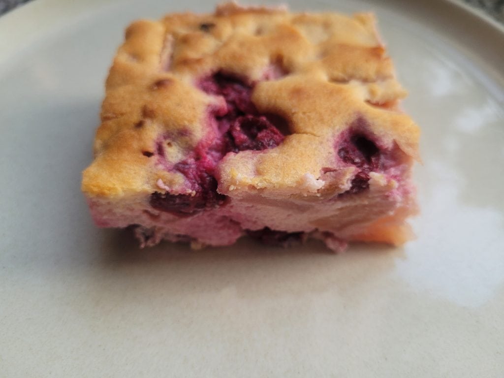 homemade apple yogurt cake with fresh cranberries on a plate