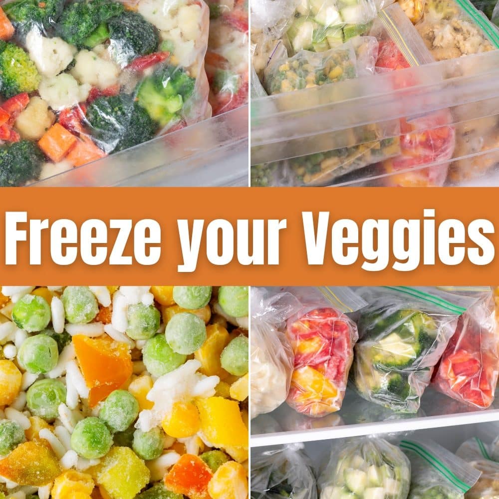 Collage of different vegetables packed in freezer friendly bags. Topic of the image: Freeze your vegetables. Topic of the blog post: how to eat more vegetables