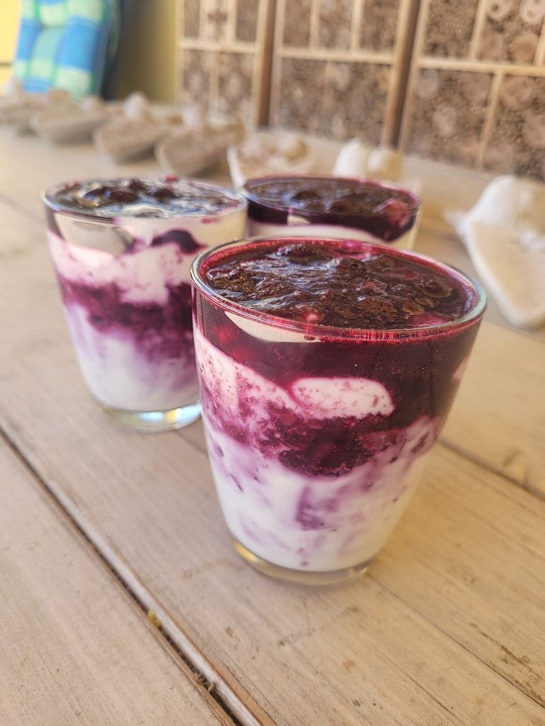 3 Blueberry yoghurt dessert dishes with Greek yoghurt, fruit and cookie layers 
