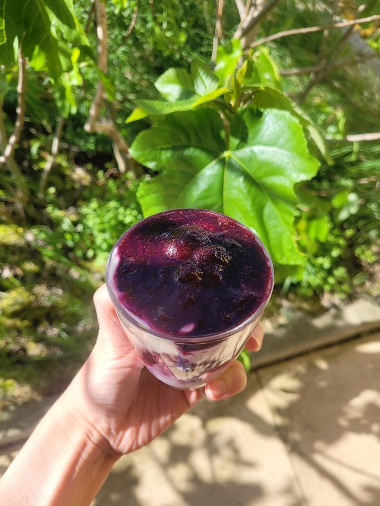 Hand holding healthy blueberry yoghurt dessert, photographed from above in green garden 
