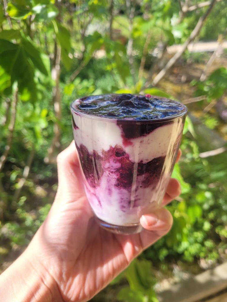 Berry yogurt parfait with fresh berries and granola in a glass.