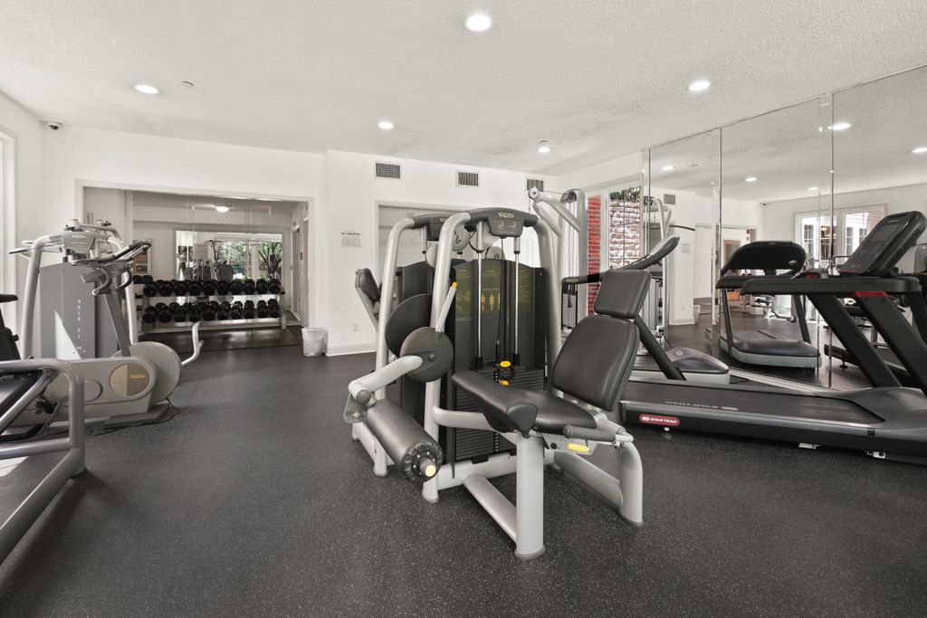 Fitness gym with modern equipment including treadmills and weight machines.
